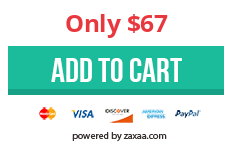 Ali Inspector - Launch Discount