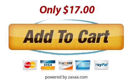 Social Media Income